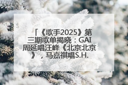 《歌手2025》第三期歌单揭晓：GAI周延唱汪峰《北京北京》，马嘉祺唱S.H.E《你曾是少年》