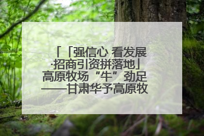 「强信心 看发展·招商引资拼落地」高原牧场“牛”劲足——甘肃华予高原牧场高标准奶牛肉牛养殖项目一线见闻