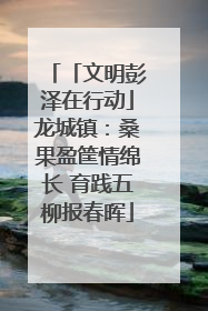 「文明彭泽在行动」龙城镇：桑果盈筐情绵长 育践五柳报春晖