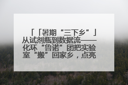 「暑期“三下乡”」从试剂瓶到数据流——化环“鲁诺”团把实验室“搬”回家乡，点亮桑梓求知路