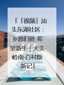 「视频」汕头东湖社区：乡愁归处 希望新生｜大美岭南·百村焕新记