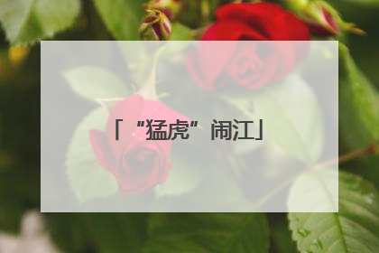 “猛虎”闹江