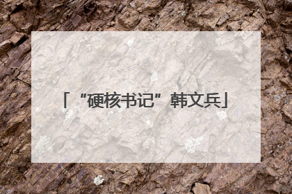 “硬核书记”韩文兵
