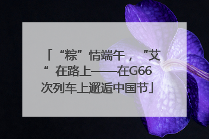 “粽”情端午，“艾”在路上——在G66次列车上邂逅中国节