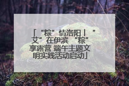 “粽”情洛阳丨“艾”在伊滨 “粽”享露营 端午主题文明实践活动启动