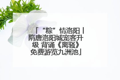 “粽”情洛阳丨隋唐洛阳城宠客升级 背诵《离骚》免费游览九洲池
