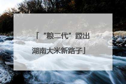 “粮二代”蹚出湖南大米新路子