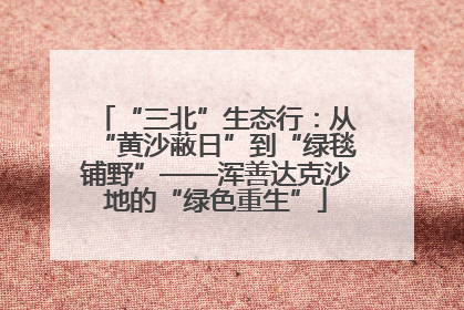 “三北”生态行：从“黄沙蔽日”到“绿毯铺野”——浑善达克沙地的“绿色重生”