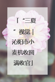 “三夏”视觉｜沁阳市小麦机收圆满收官