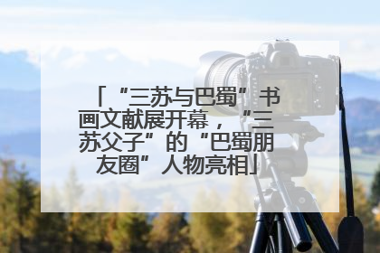 “三苏与巴蜀”书画文献展开幕，“三苏父子”的“巴蜀朋友圈”人物亮相