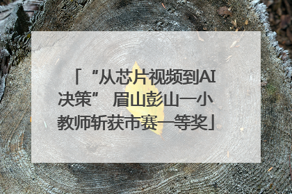 “从芯片视频到AI决策” 眉山彭山一小教师斩获市赛一等奖