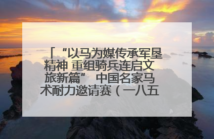 “以马为媒传承军垦精神 重组骑兵连启文旅新篇” 中国名家马术耐力邀请赛（一八五团站）暨重启骑兵连活动正式启动