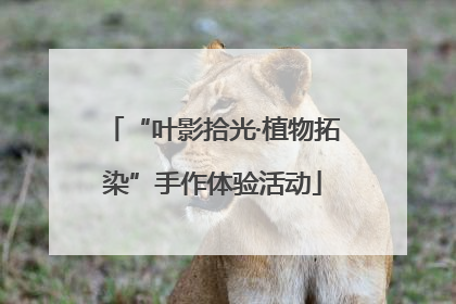 “叶影拾光·植物拓染”手作体验活动