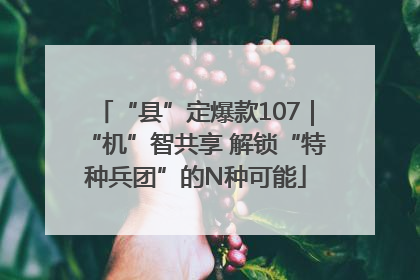 “县”定爆款107｜“机”智共享 解锁“特种兵团”的N种可能