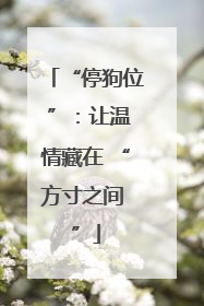 “停狗位 ”：让温情藏在 “方寸之间 ”