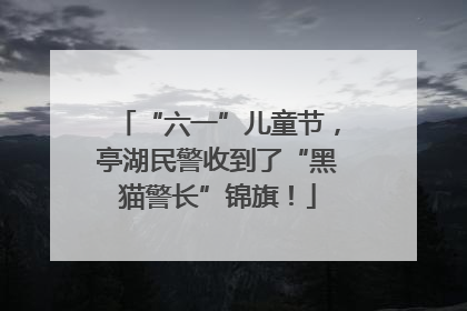 “六一”儿童节，亭湖民警收到了“黑猫警长”锦旗！