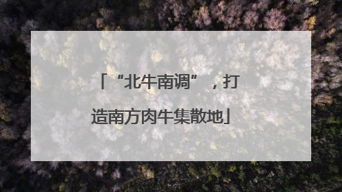 “北牛南调”，打造南方肉牛集散地