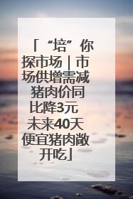 “培”你探市场｜市场供增需减 猪肉价同比降3元 未来40天便宜猪肉敞开吃