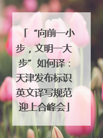 “向前一小步，文明一大步”如何译：天津发布标识英文译写规范迎上合峰会