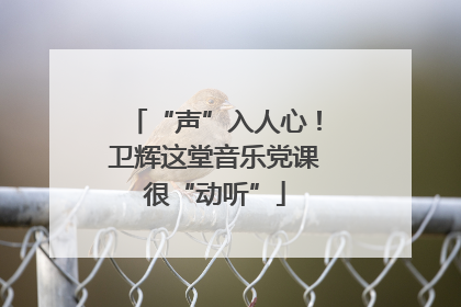 “声”入人心！卫辉这堂音乐党课很“动听”