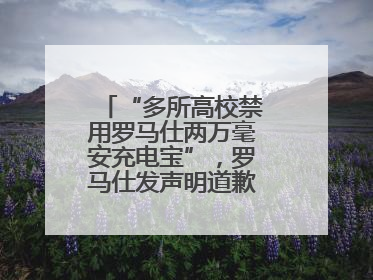 “多所高校禁用罗马仕两万毫安充电宝”，罗马仕发声明道歉：已展开核查