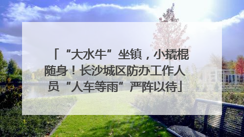 “大水牛”坐镇，小撬棍随身！长沙城区防办工作人员“人车等雨”严阵以待