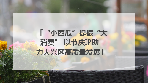 “小西瓜”提振“大消费” 以节庆IP助力大兴区高质量发展
