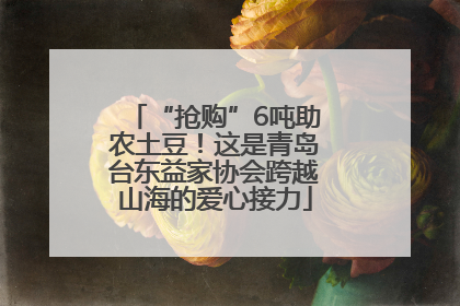 “抢购”6吨助农土豆！这是青岛台东益家协会跨越山海的爱心接力