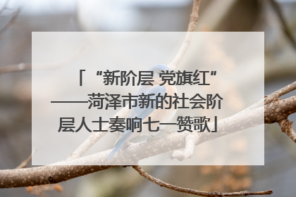 “新阶层 党旗红”——菏泽市新的社会阶层人士奏响七一赞歌