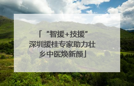 “智援+技援” 深圳援桂专家助力壮乡中医焕新颜