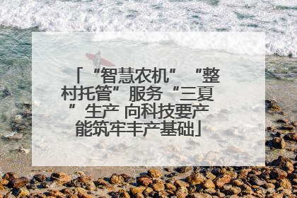 “智慧农机”“整村托管”服务“三夏”生产 向科技要产能筑牢丰产基础