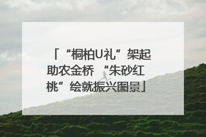 “桐柏U礼”架起助农金桥 “朱砂红桃”绘就振兴图景