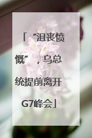 “沮丧愤慨”，乌总统提前离开G7峰会
