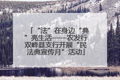 “法”在身边“典”亮生活——农发行双峰县支行开展“民法典宣传月”活动