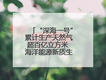 “深海一号”累计生产天然气超百亿立方米 海洋能源新质生产力蓬勃发展