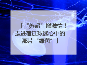 “苏超”燃激情！走进宿迁球迷心中的那片“绿茵”