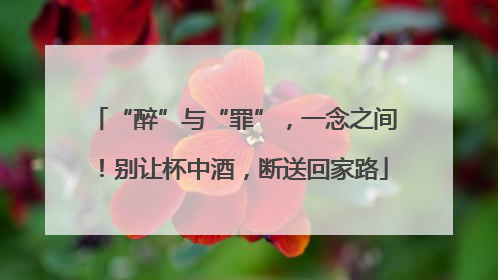 “醉”与“罪”，一念之间！别让杯中酒，断送回家路
