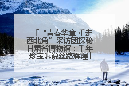 “青春华章·重走西北角”采访团探秘甘肃省博物馆：千年珍宝诉说丝路辉煌