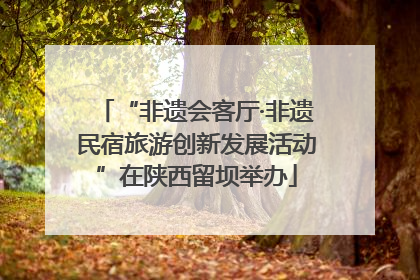 “非遗会客厅·非遗民宿旅游创新发展活动”在陕西留坝举办