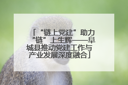 “链上党建”助力“链”上生辉——阜城县推动党建工作与产业发展深度融合