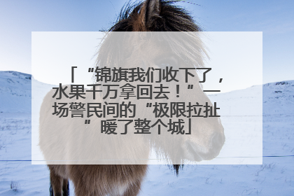 “锦旗我们收下了，水果千万拿回去！”一场警民间的“极限拉扯”暖了整个城