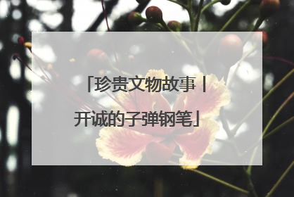 珍贵文物故事丨开诚的子弹钢笔