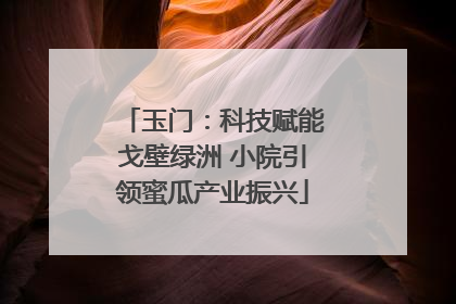 玉门：科技赋能戈壁绿洲 小院引领蜜瓜产业振兴