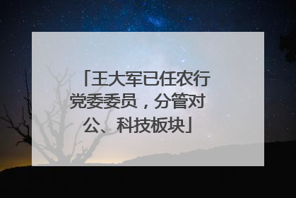 王大军已任农行党委委员，分管对公、科技板块