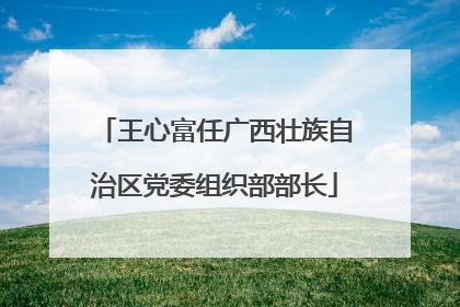 王心富任广西壮族自治区党委组织部部长