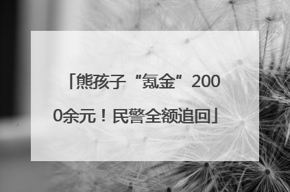 熊孩子“氪金”2000余元！民警全额追回