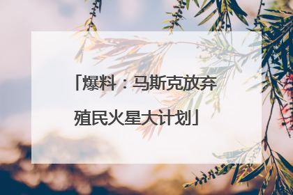 爆料：马斯克放弃殖民火星大计划