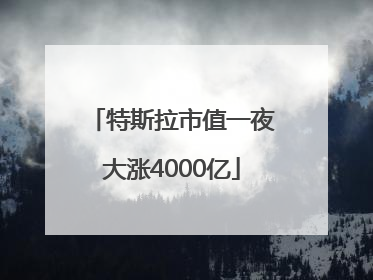 特斯拉市值一夜大涨4000亿
