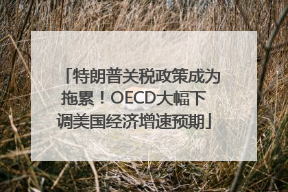 特朗普关税政策成为拖累！OECD大幅下调美国经济增速预期