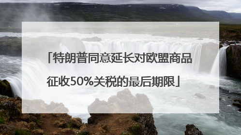 特朗普同意延长对欧盟商品征收50%关税的最后期限